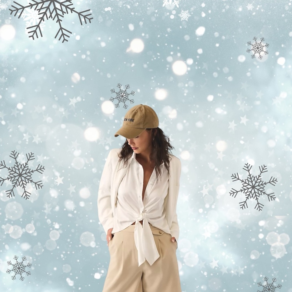 🔥HP🔥Anthropologie Hutch Silky Tie Front Button Down Blouse